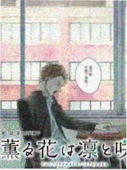 夜行观察综艺封面